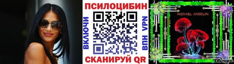 купить   Плёс  Псилоцибиновые грибы MAGIC MUSHROOMS 